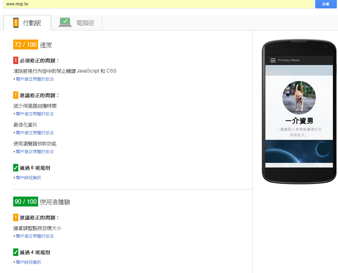 PageSpeed Insights