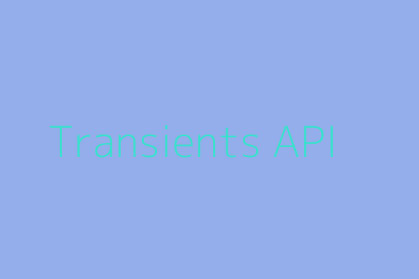 Wp transients api