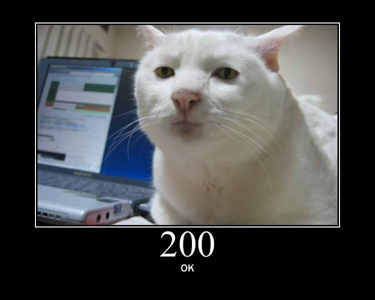 Httpcat 200